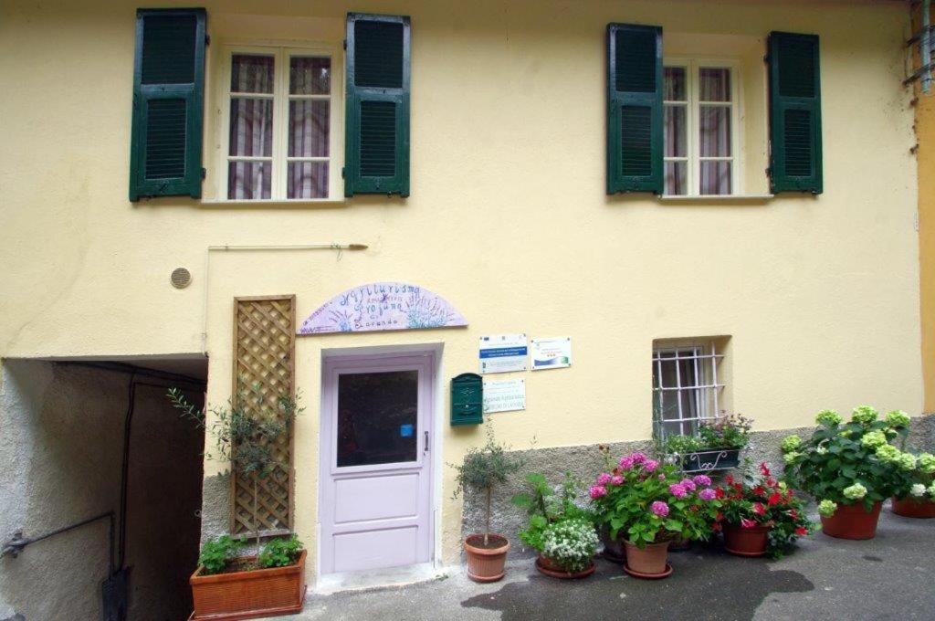 Agriturismo Nonnamelia Nasino Екстер'єр фото